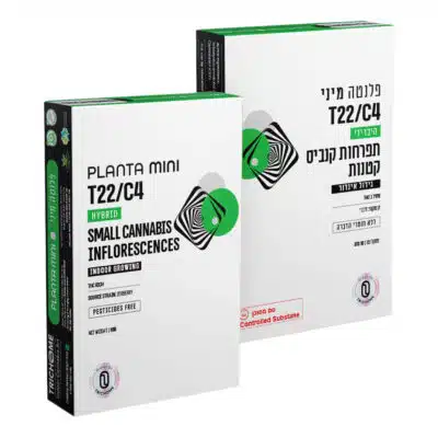 פלנטה מיני (planta mini) היבריד t22/c4