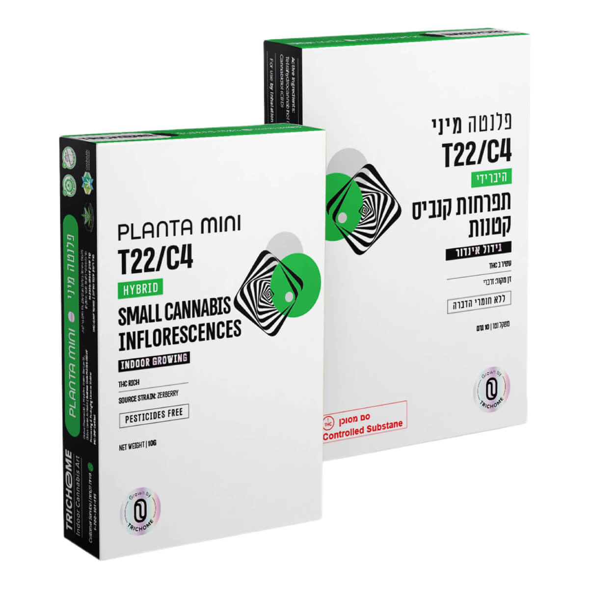 פלנטה מיני (planta mini) היבריד t22/c4