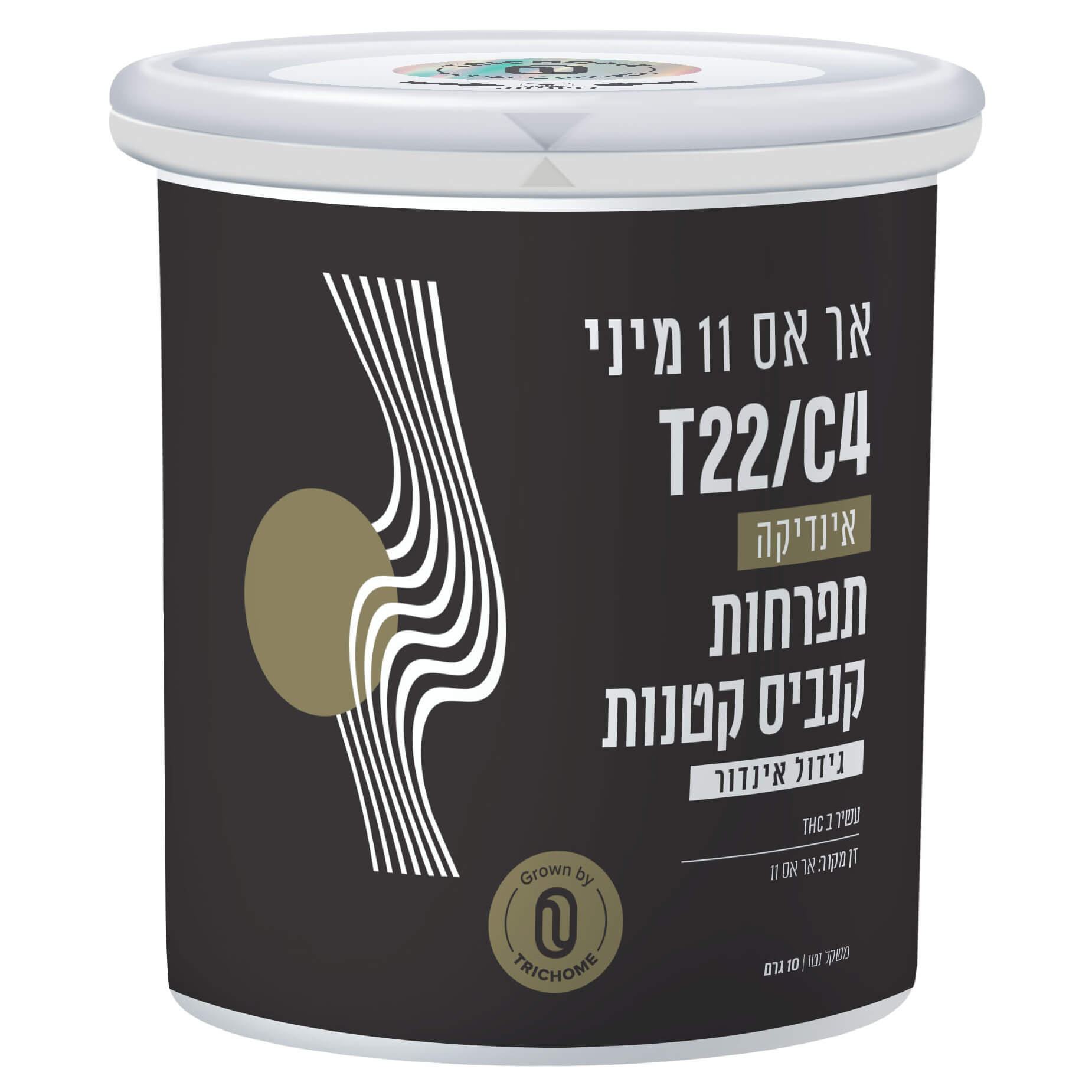 אר אס 11 מיני (RS11 Mini) - אינדיקה T22/C4