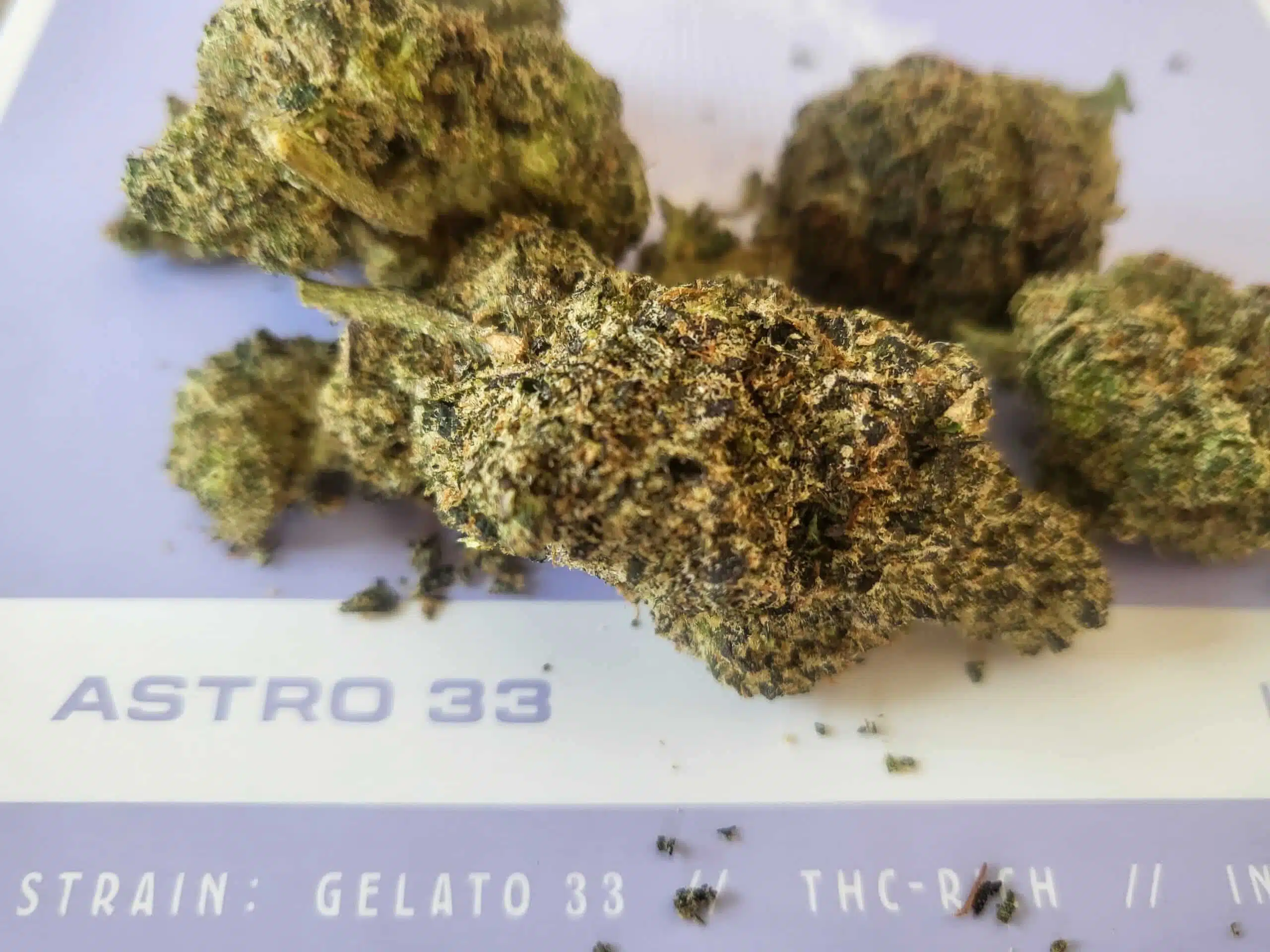 אסטרו 33 (Astro 33) - אינדיקה T22/C4 – תמונה 5