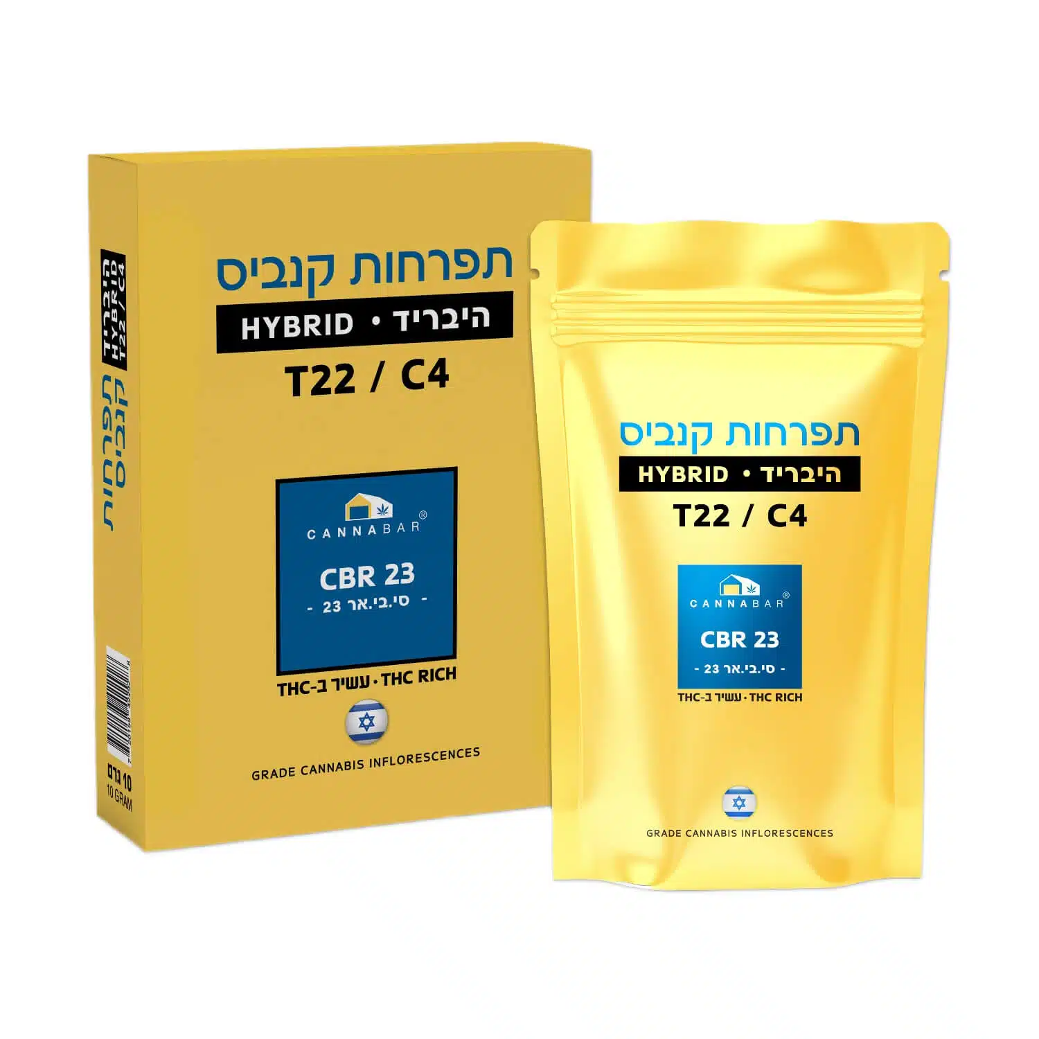 סי.בי.אר 23 (cbr 23) היבריד t22/c4