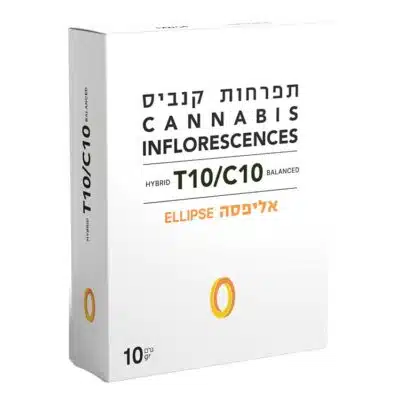 אליפסה (ellipse) היבריד t10/c0