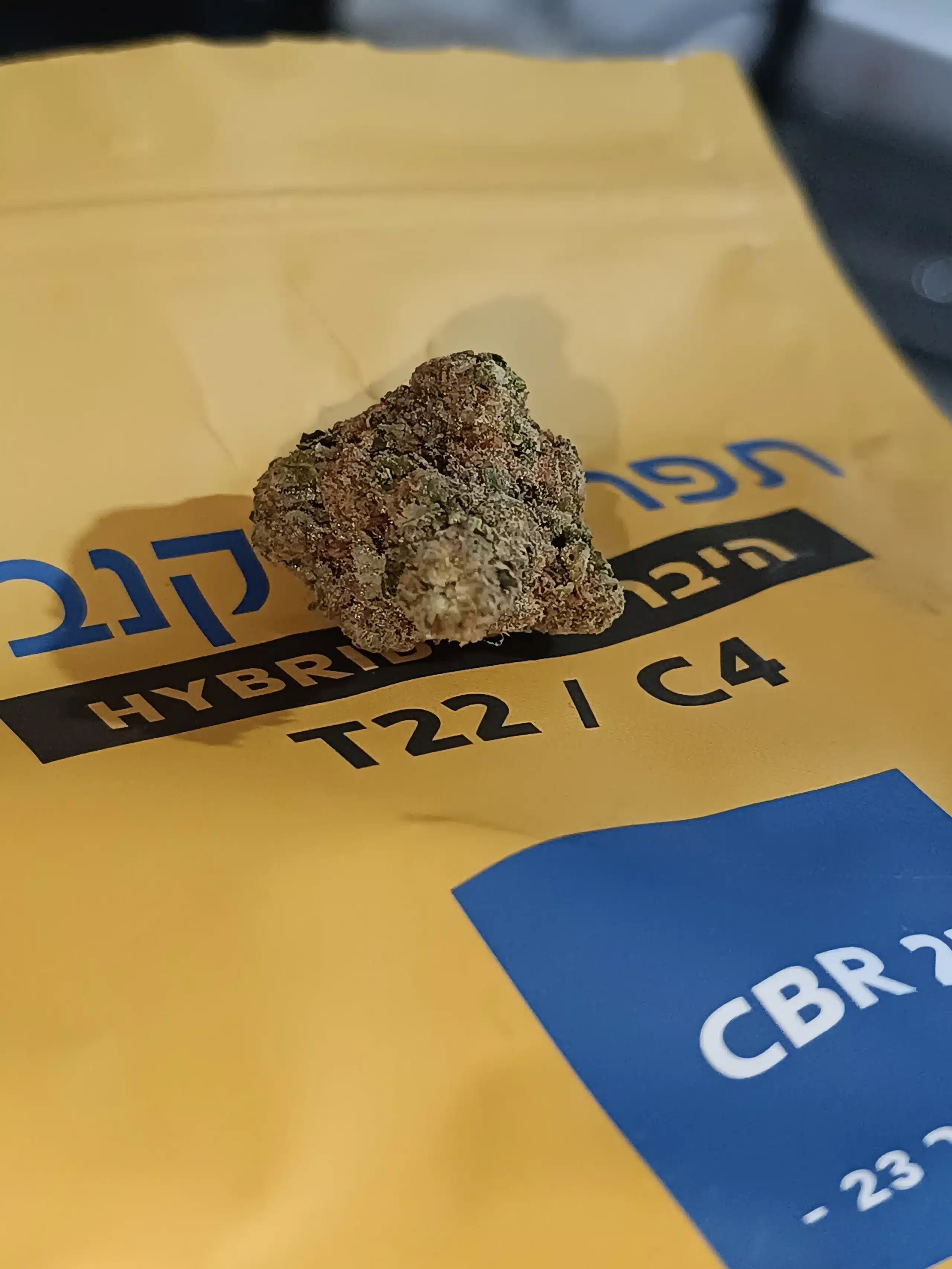 סי.בי.אר 23 (cbr 23) היבריד t22/c4