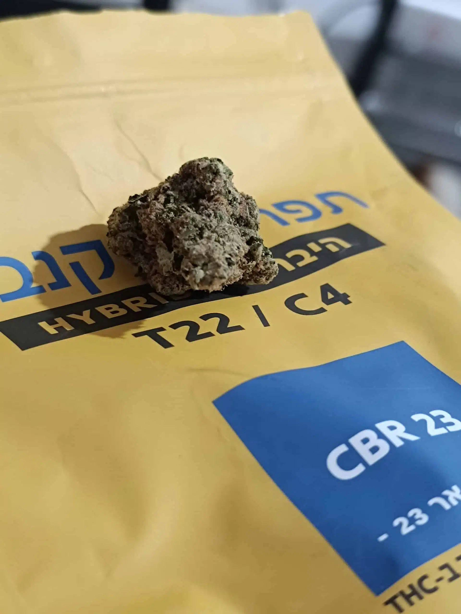 סי.בי.אר 23 (cbr 23) היבריד t22/c4