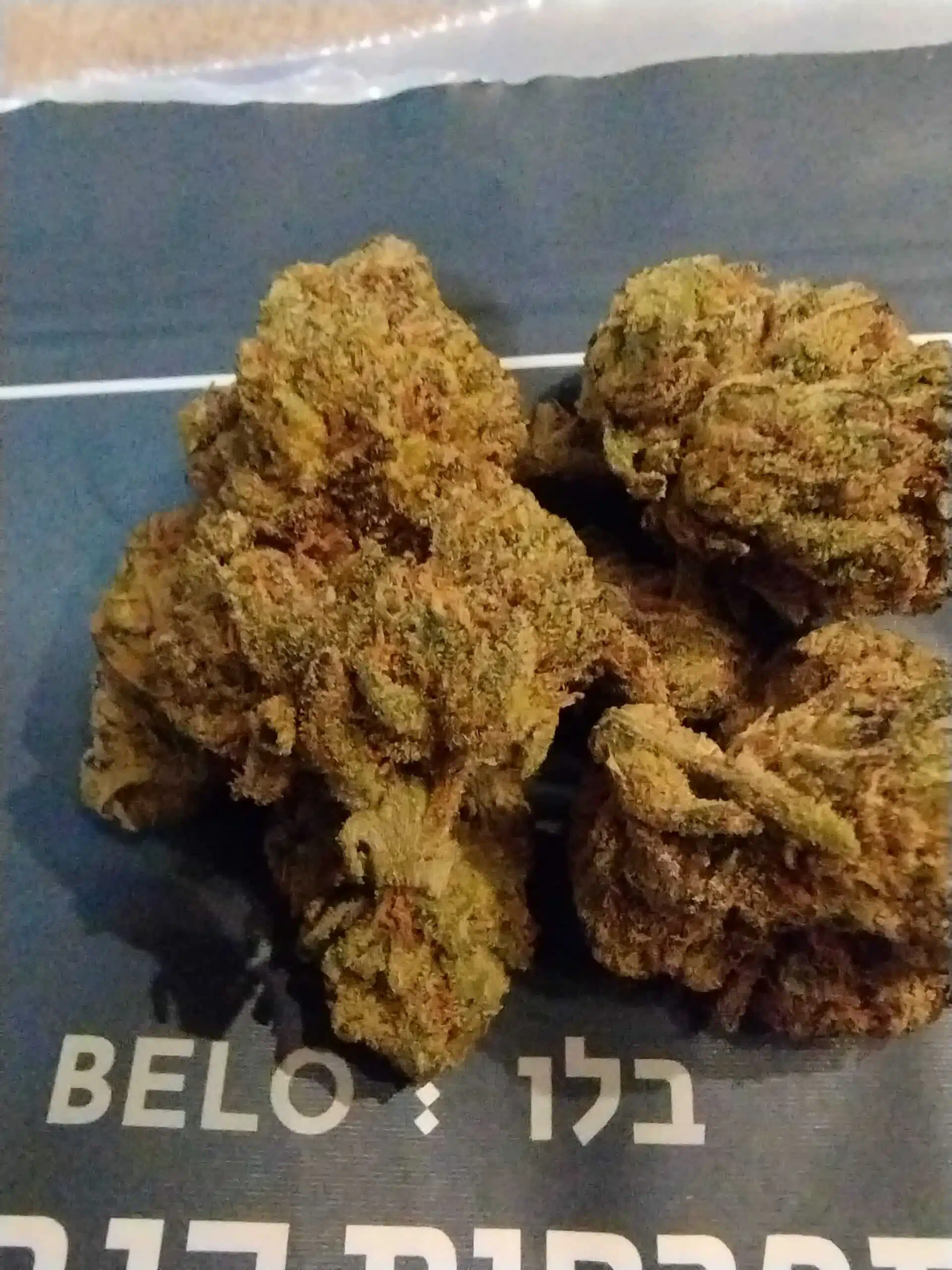 בלו (Belo) - אינדיקה T22/C4 – תמונה 13