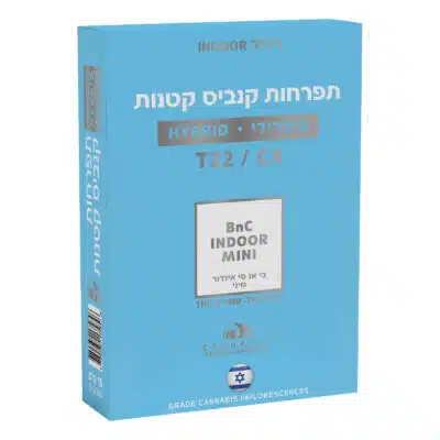 בי אנ סי מיני (BnC Mini) - היבריד T22/C4