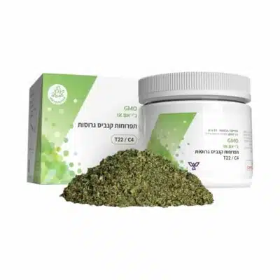 ג'י אם או (GMO) תפרחת גרוסה - אינדיקה T22/C4