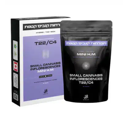 אייץ'.אם (H.M) - היבריד T22/C4