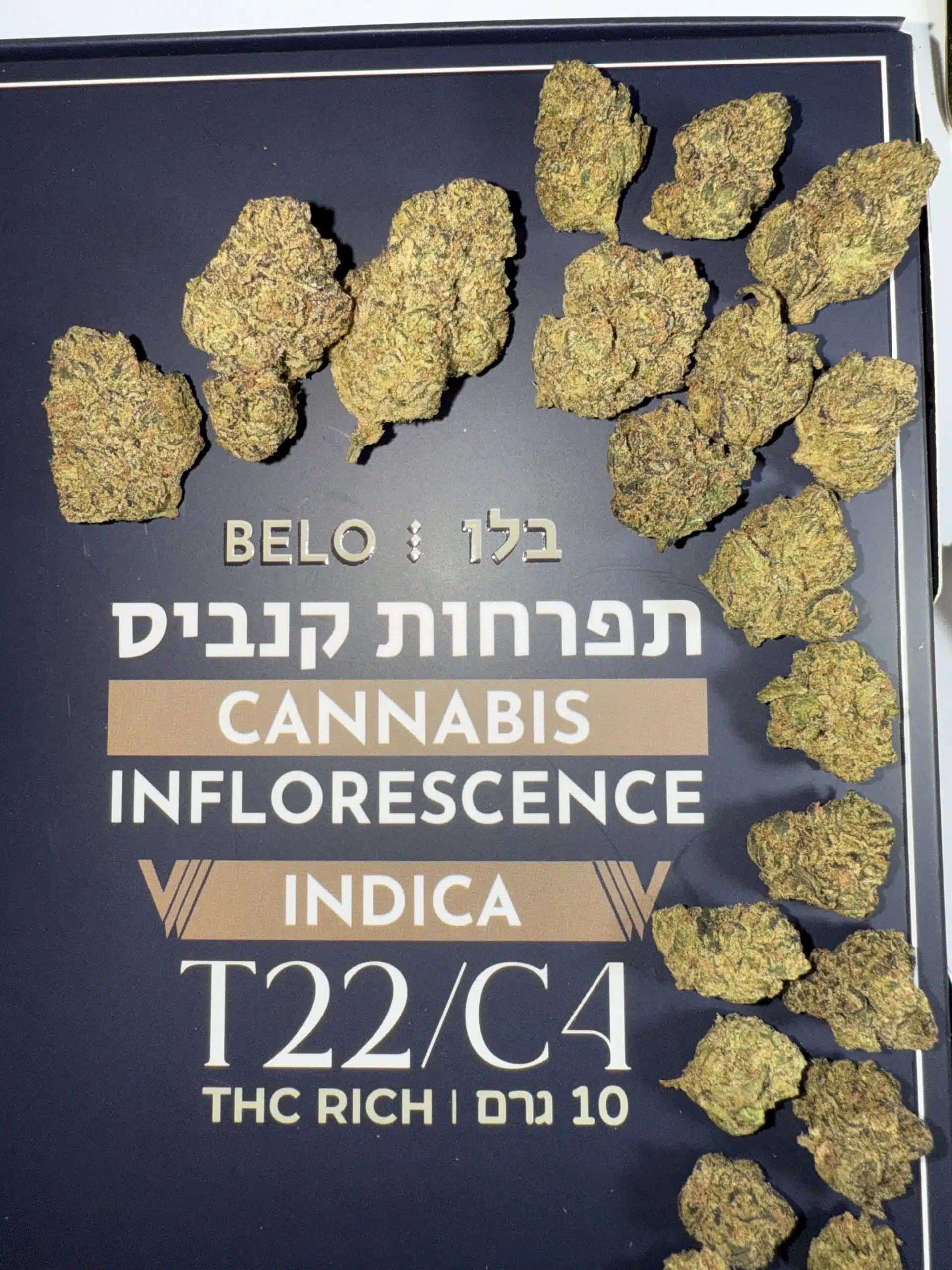 בלו (Belo) - אינדיקה T22/C4 – תמונה 7