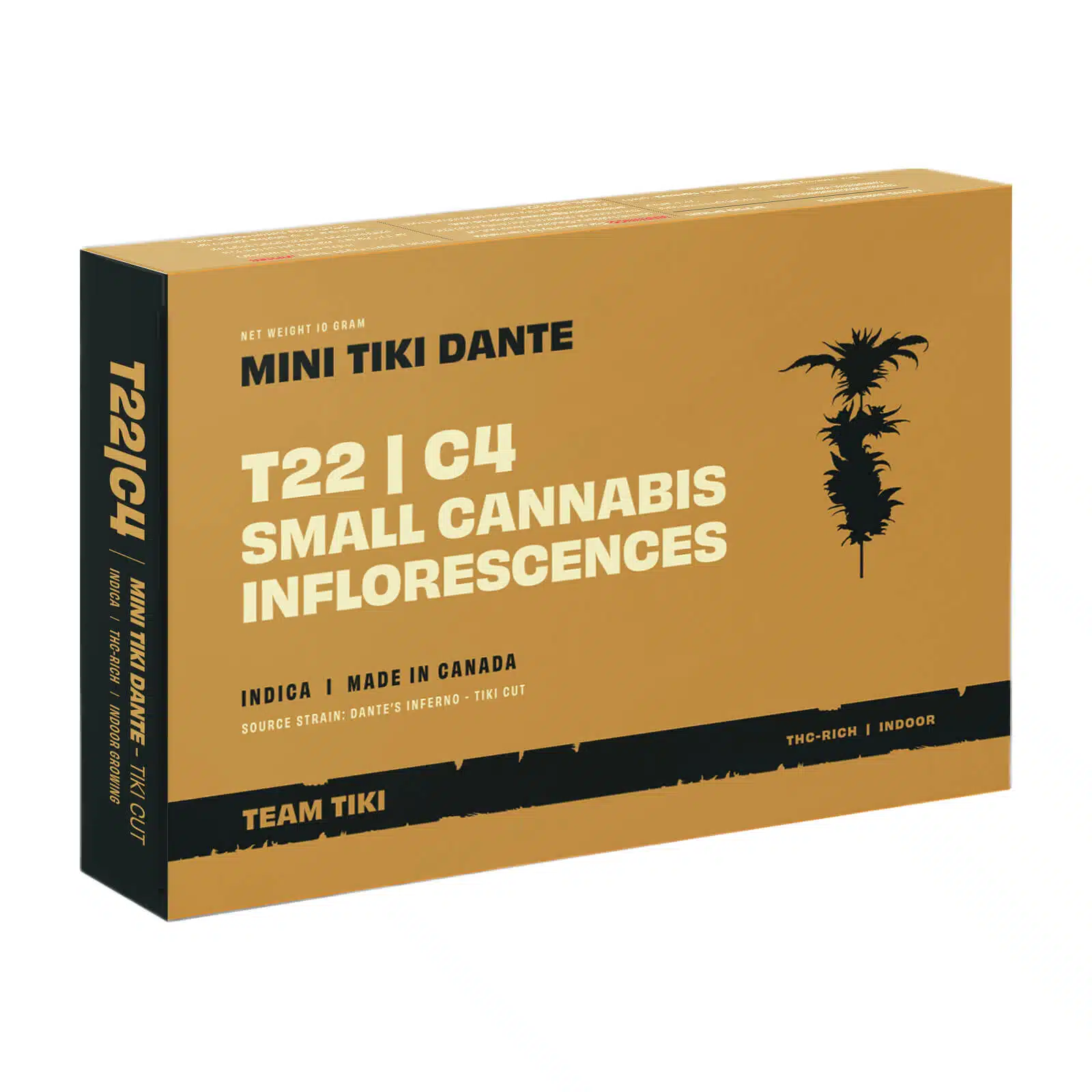 טיקי דאנטה מיני (Tiki Dante Mini) - אינדיקה T22/C4