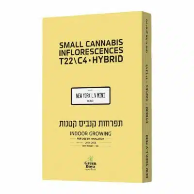 ניו יורק אל.וי מיני (new york l.v mini) היבריד t22/c4
