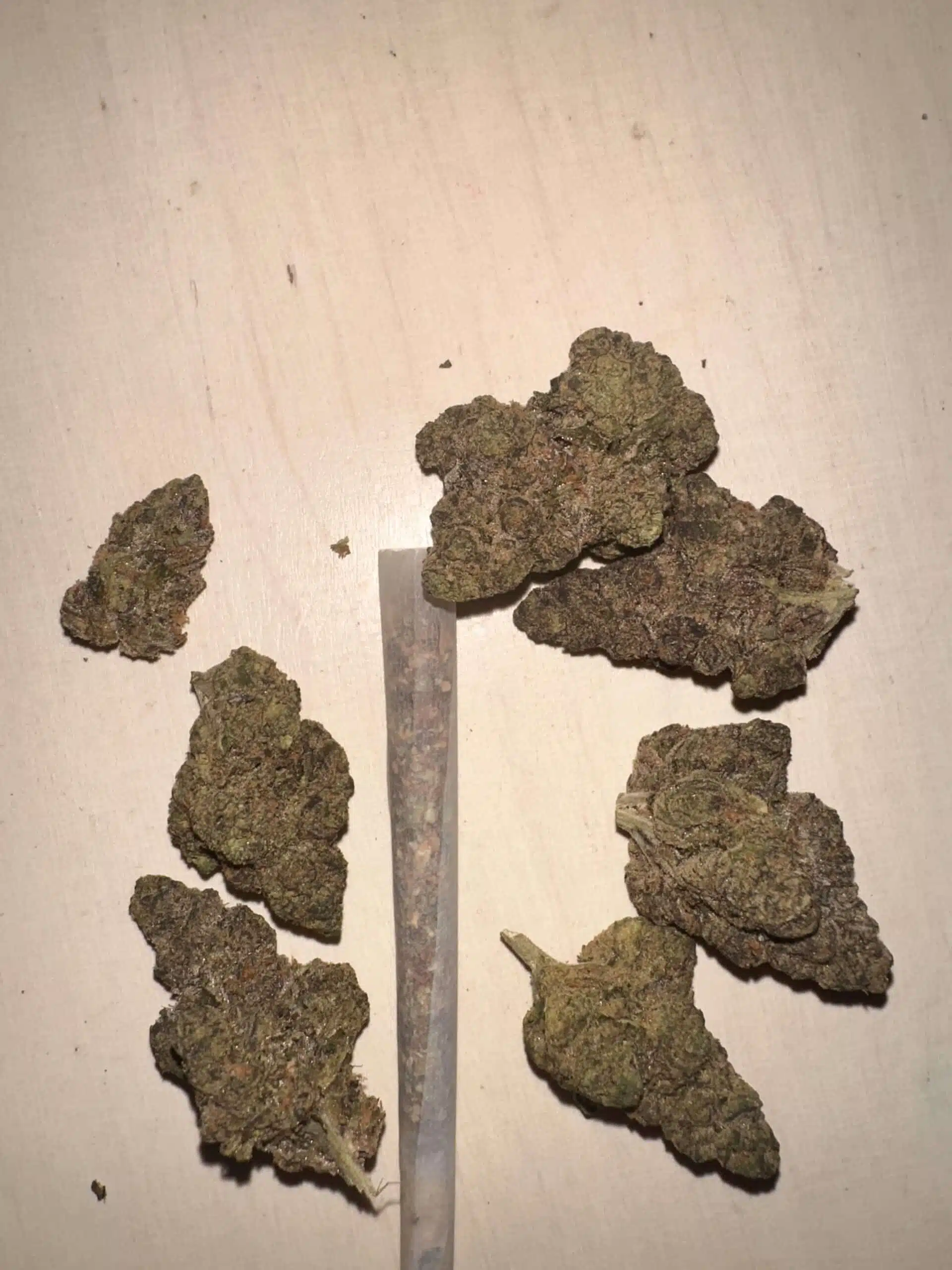 פרפל דידי (Purple DD) - אינדיקה T22/C4 – תמונה 10
