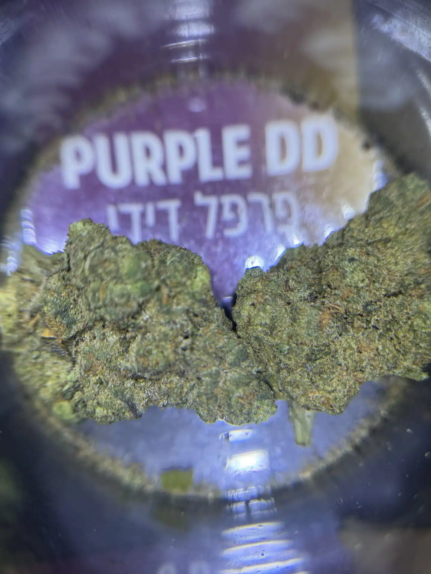 פרפל דידי (Purple DD) - אינדיקה T22/C4 – תמונה 6