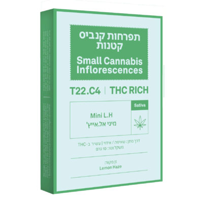 אל.אייץ' מיני (l.h mini) סאטיבה t22/c4