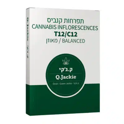 ק.ג'קי (Q.Jackie) - היבריד - T12/C12