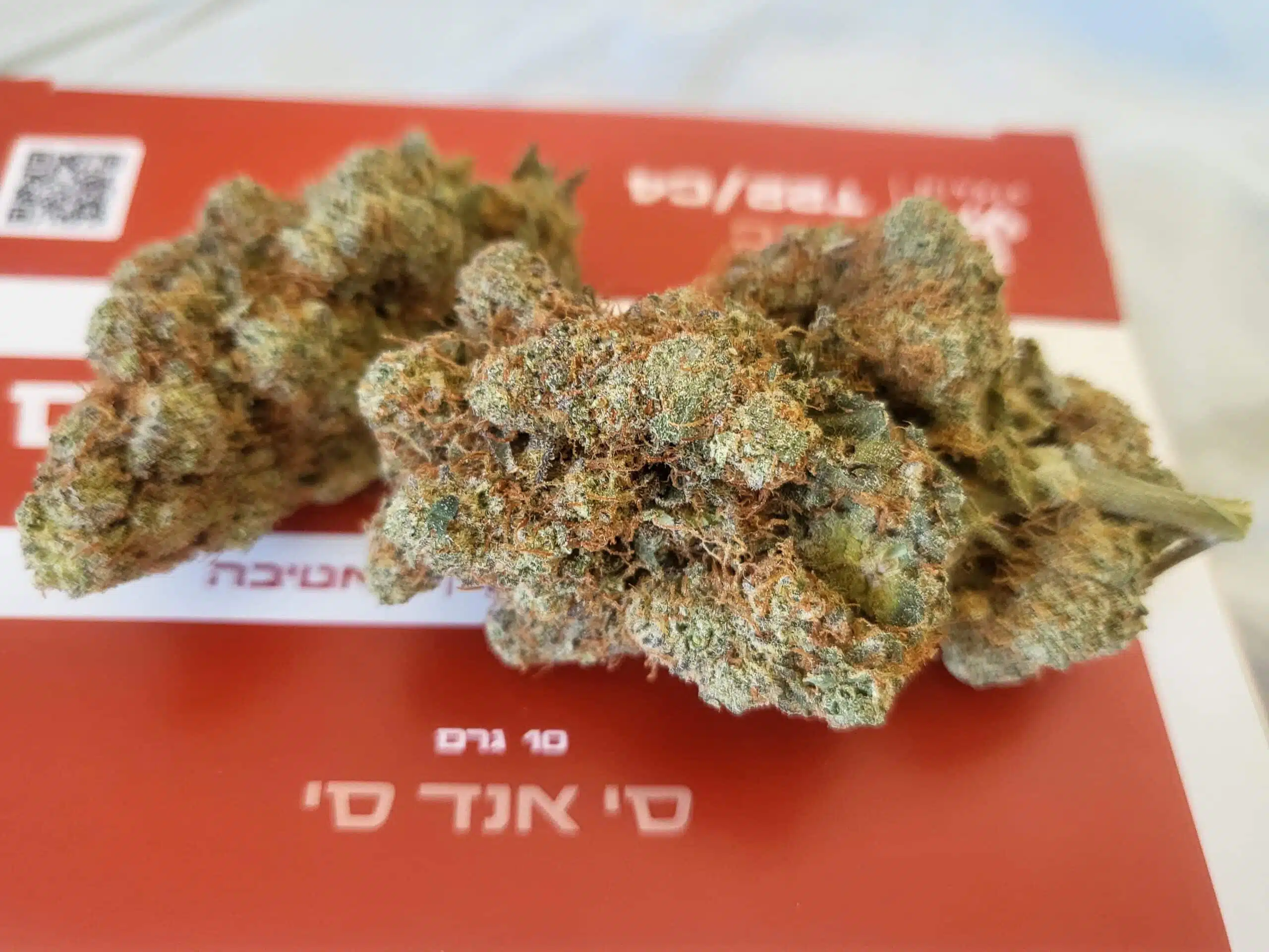 ⁦סי&סי (C&C) - סאטיבה T22/C4⁩ – תמונה ⁦2⁩