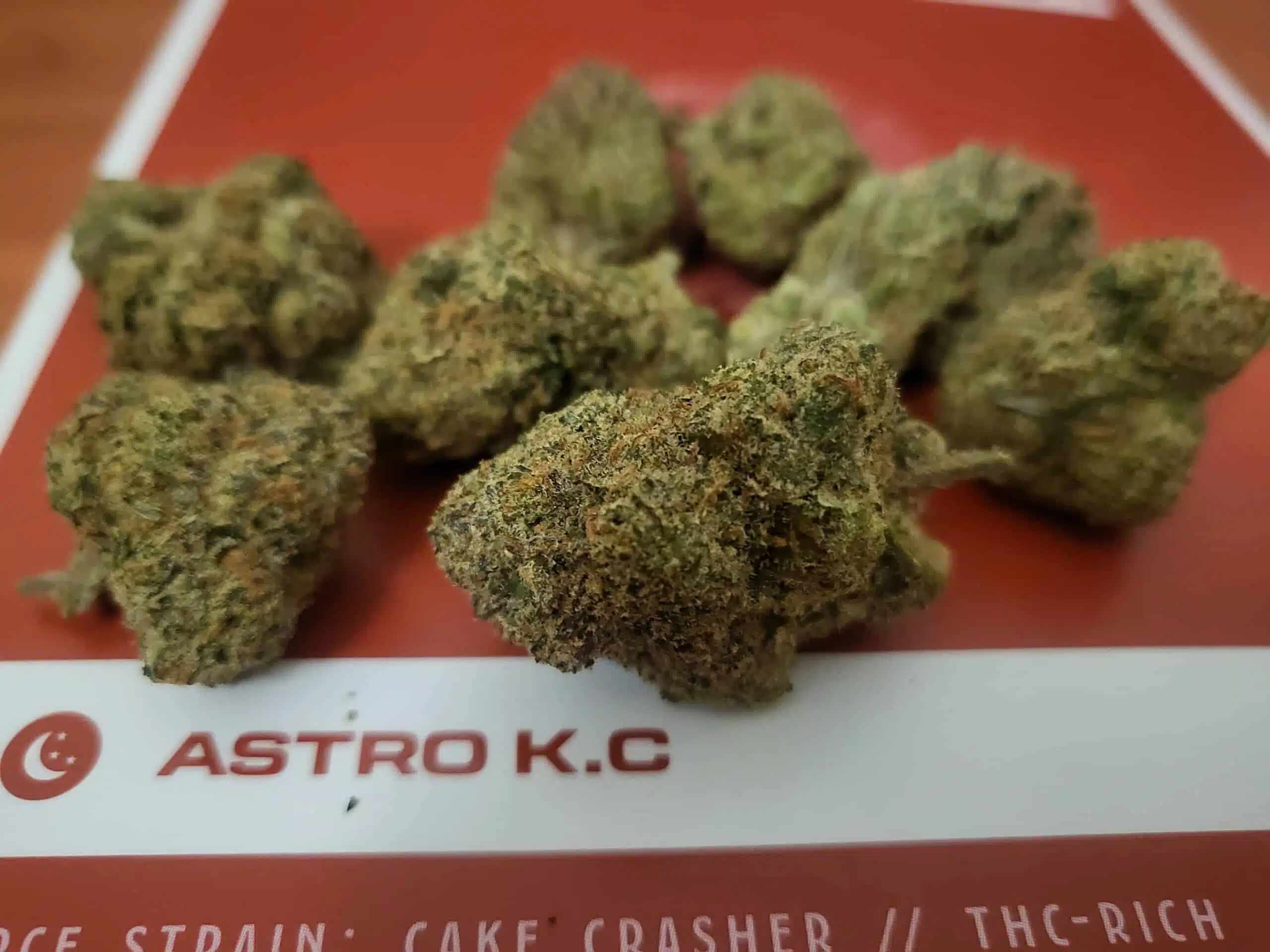 ⁦אסטרו קיי.סי (Astro K.C) - אינדיקה T22/C4⁩ – תמונה ⁦4⁩