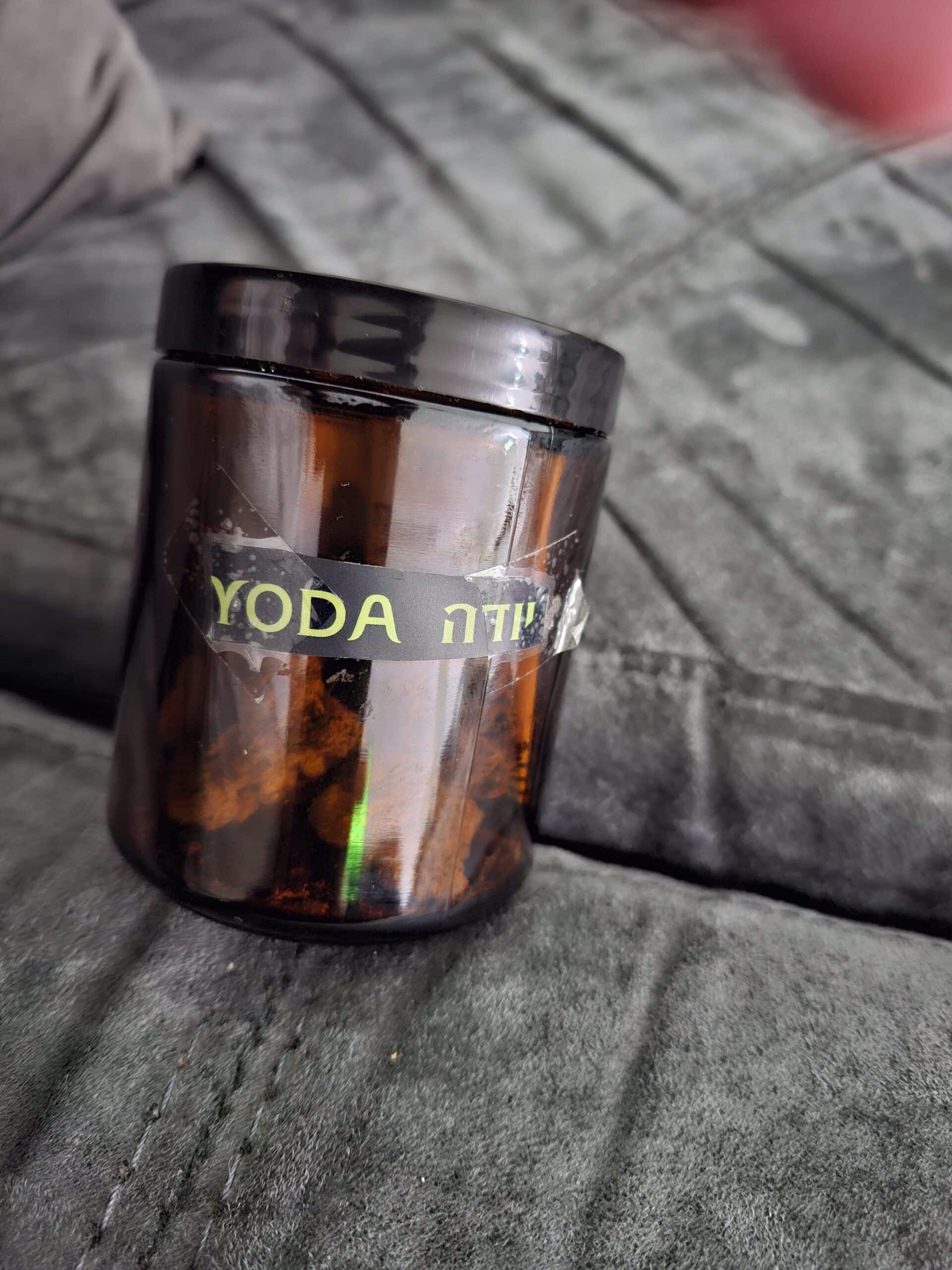 יודה (Yoda) - אינדיקה T22/C4 – תמונה 10