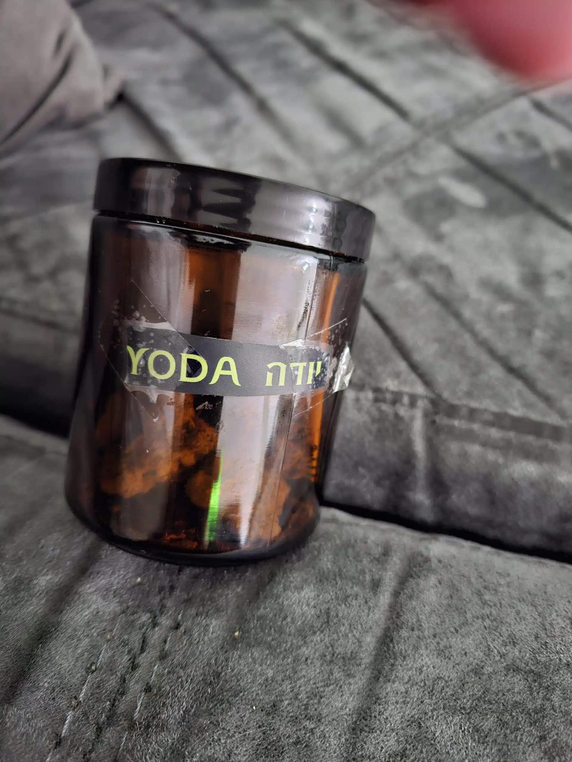 ⁦יודה (Yoda) - אינדיקה T22/C4⁩ – תמונה ⁦10⁩