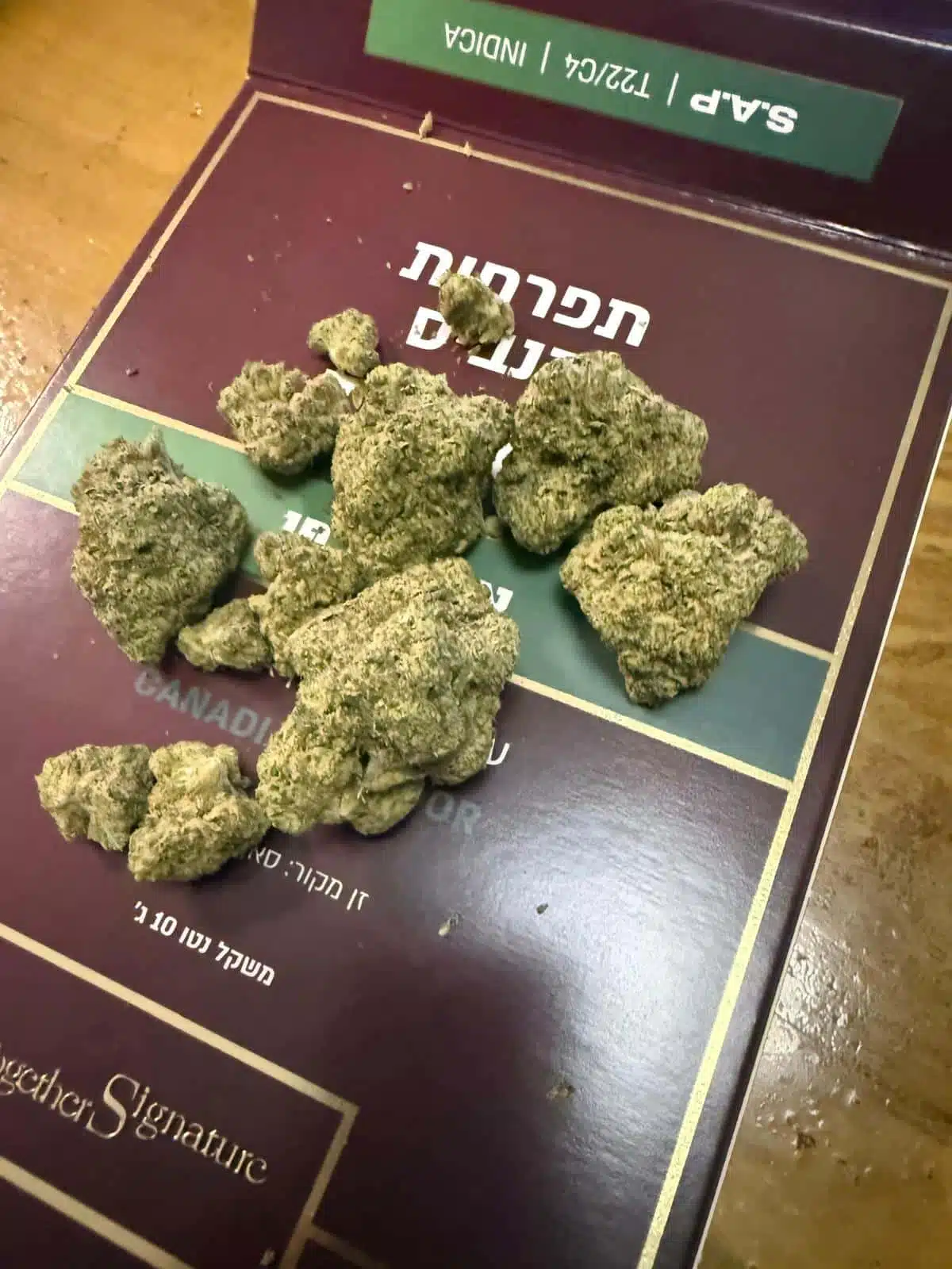 אס.איי.פי (S.A.P) - אינדיקה T22/C4 – תמונה 2