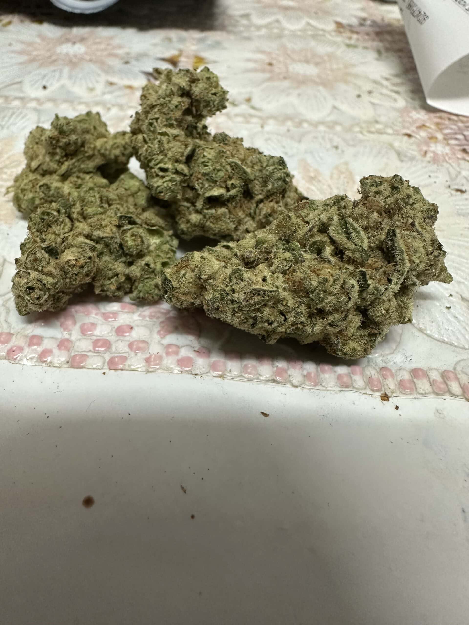 יודה (yoda) אינדיקה t22/c4