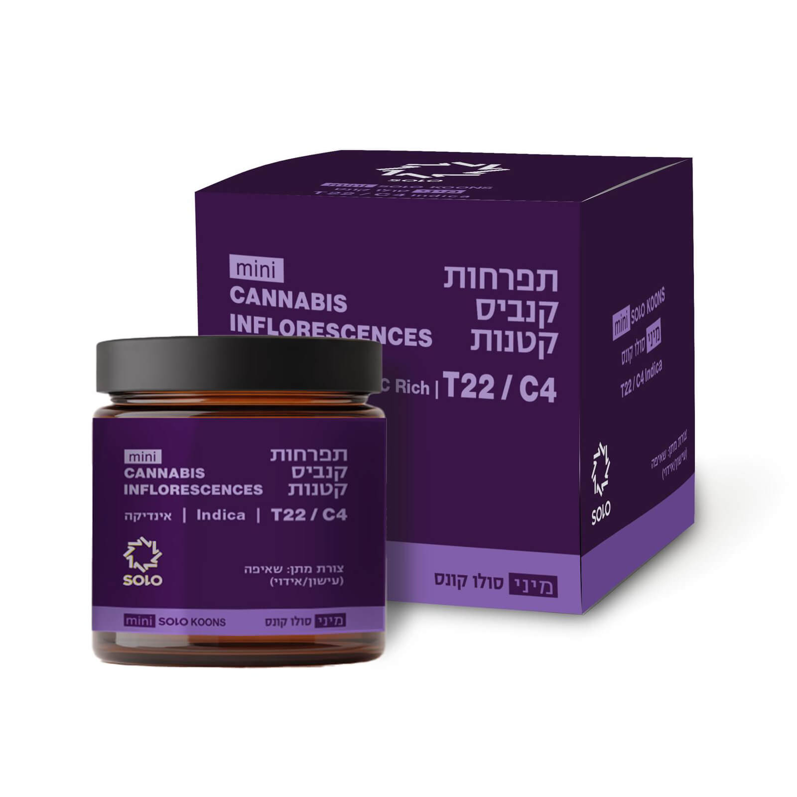 סולו קונס מיני (SOLO Koons Mini) - אינדיקה T22/C4