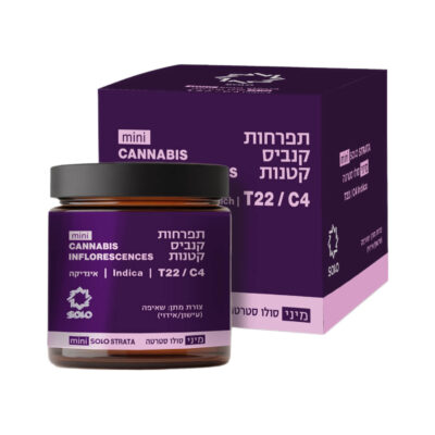 סולו סטראטה מיני (solo strata mini) אינדיקה t22/c4