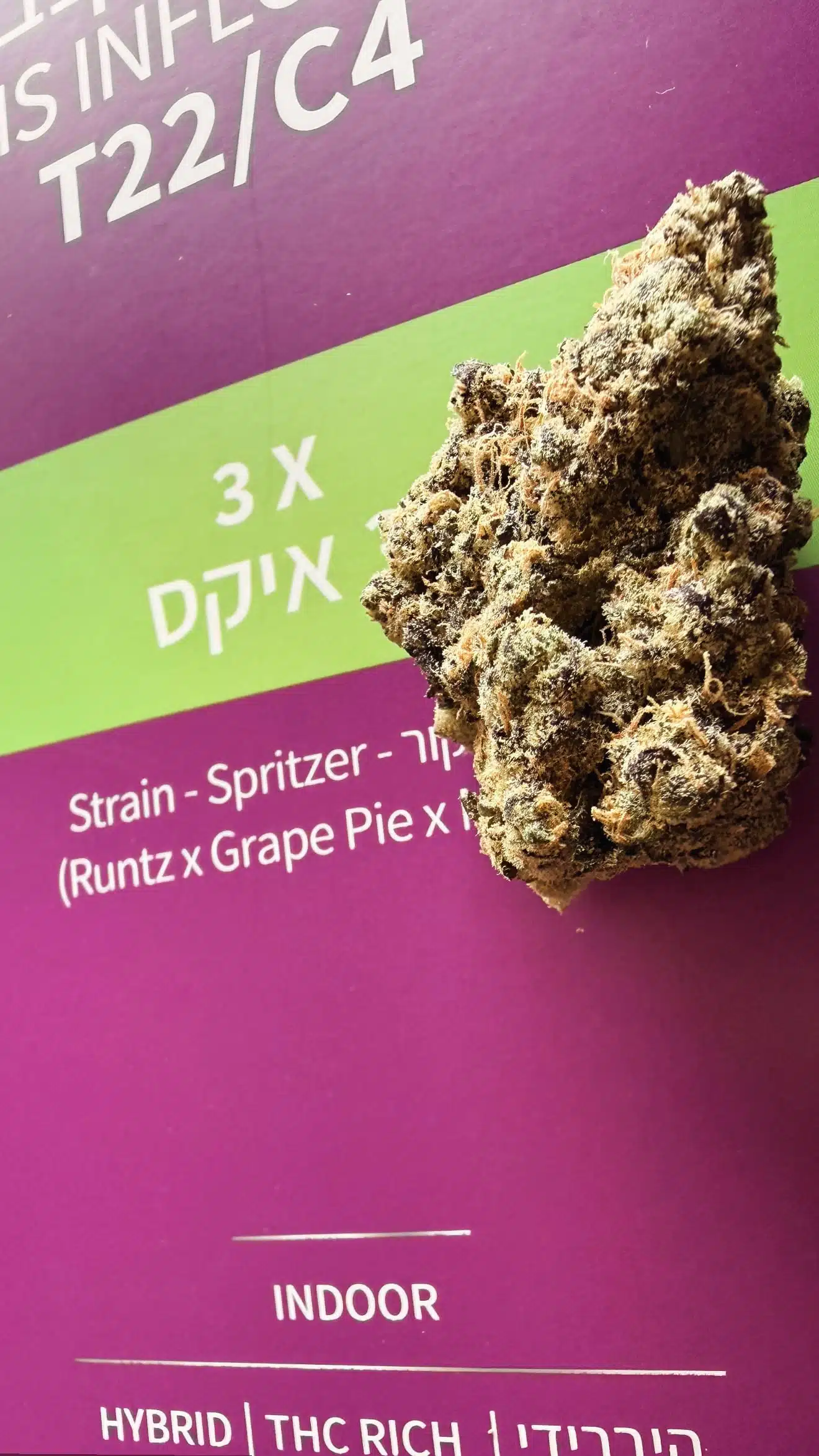 ⁦3 איקס (3X) - היבריד T22/C4⁩ – תמונה ⁦6⁩