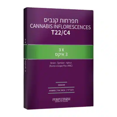 שלוש איקס (3X) - היבריד T22/C4