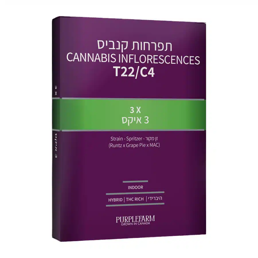 שלוש איקס (3X) - היבריד T22/C4