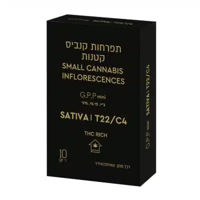 ג'יי.פי.פי מיני (g.p.p mini) סאטיבה t22/c4