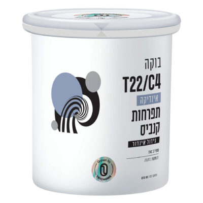 בוקה (Buca) - אינדיקה T22/C4