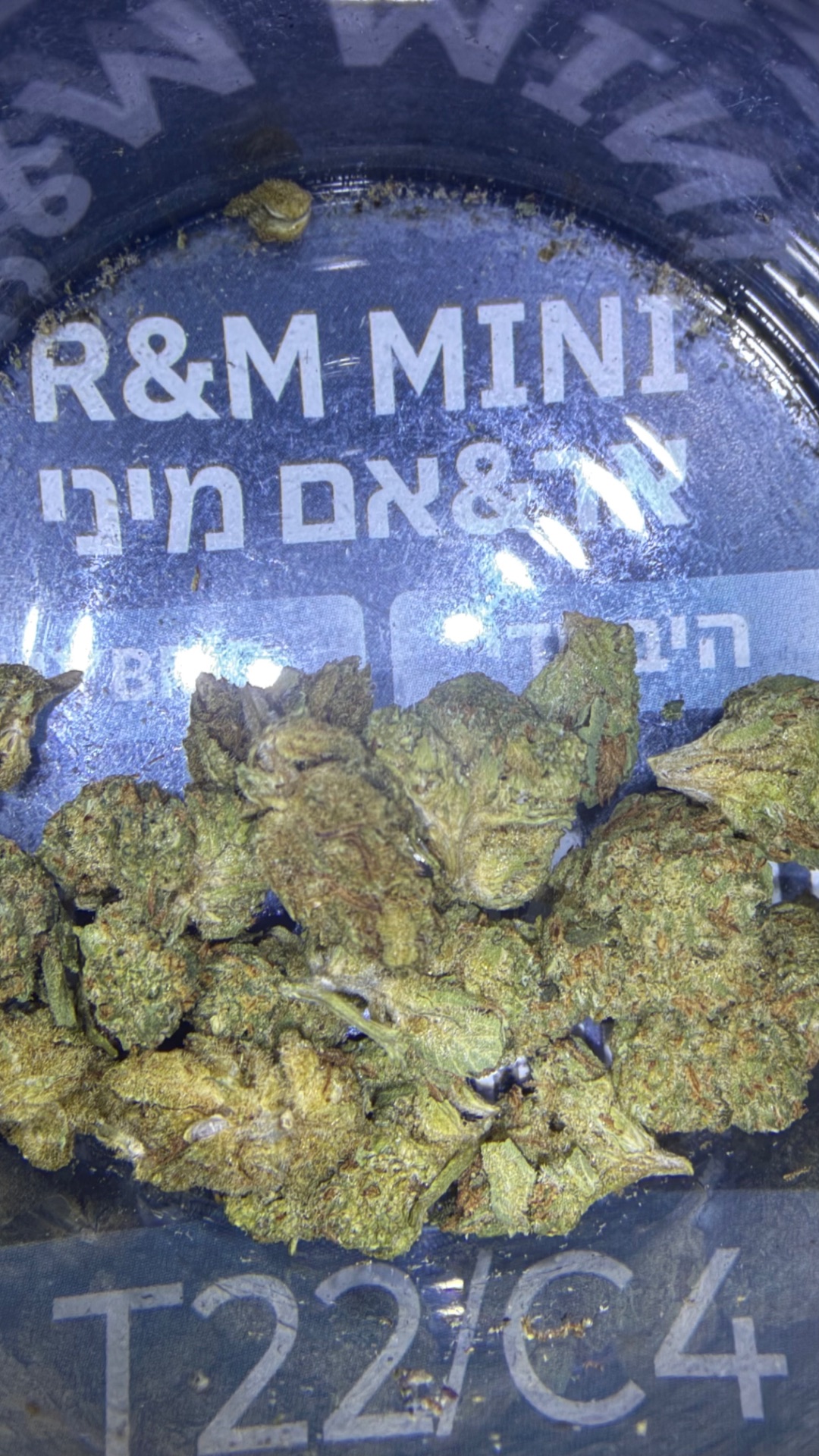 אר&אם מיני (r&m mini) היבריד t22/c4