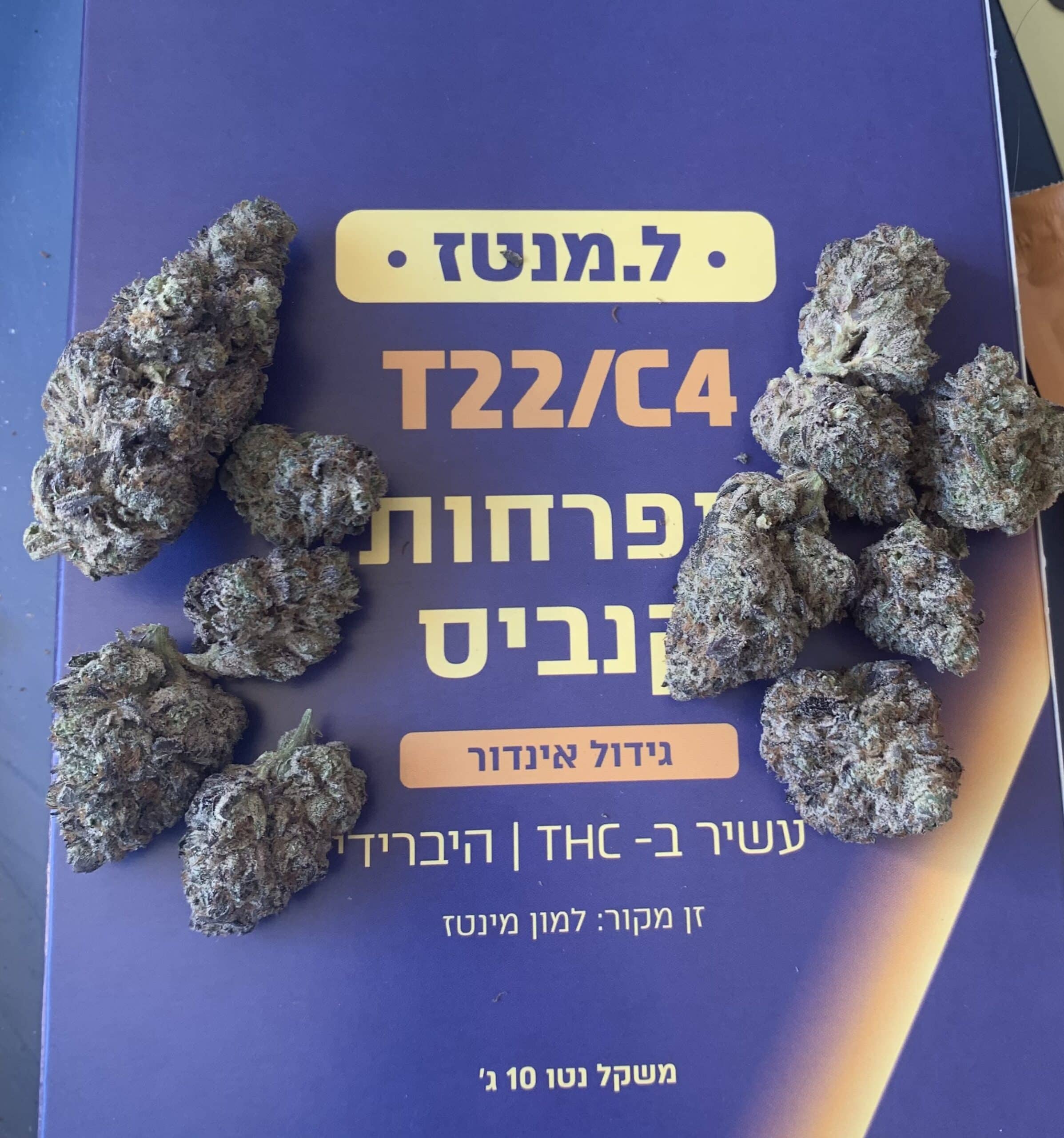 ל.מנטז (l.mntz) היבריד t22/c4