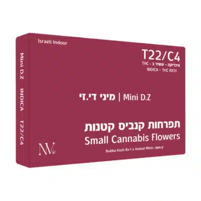 די.זי מיני (d.z mini) אינדיקה t22/c4