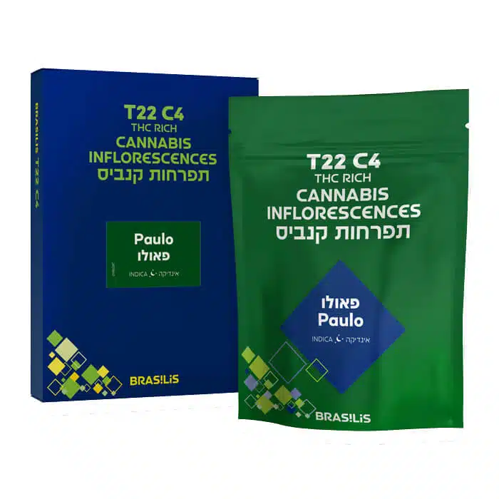 פאולו (paulo) אינדיקה t22/c4