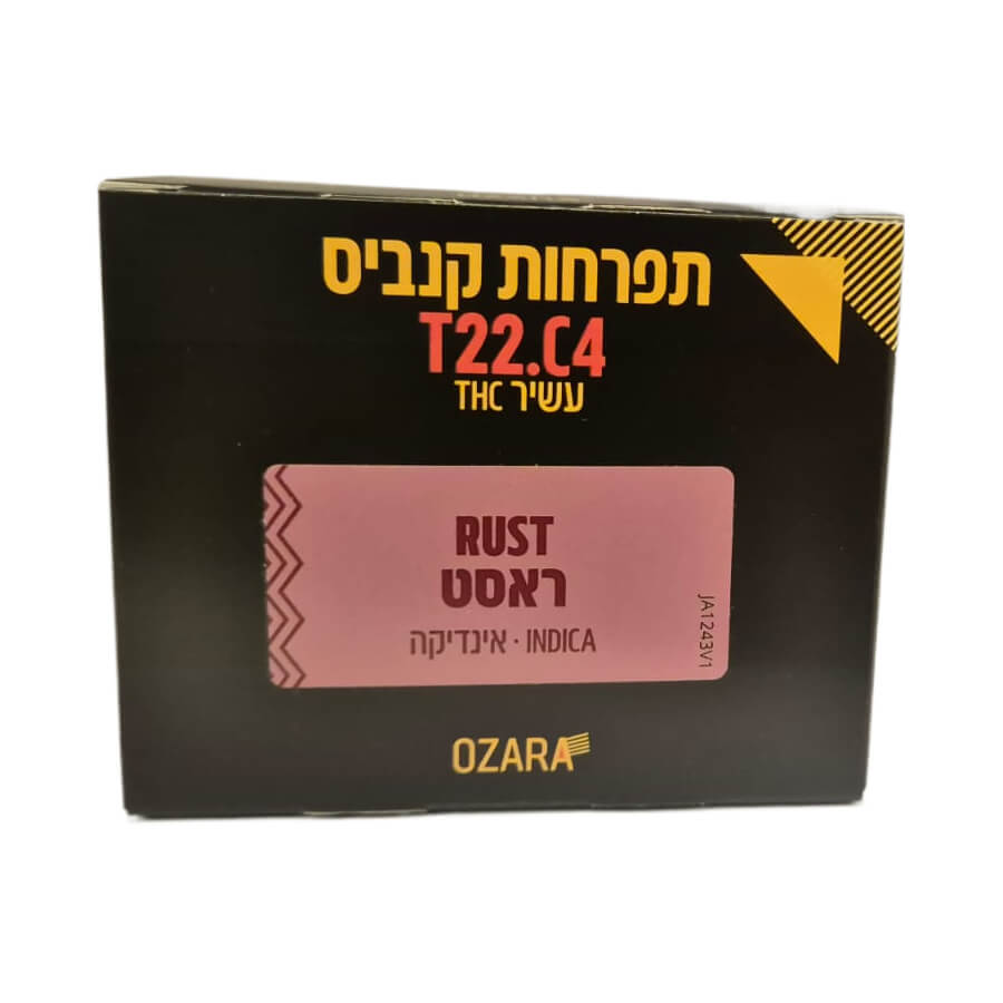 ראסט (rust) אינדיקה t22/c4