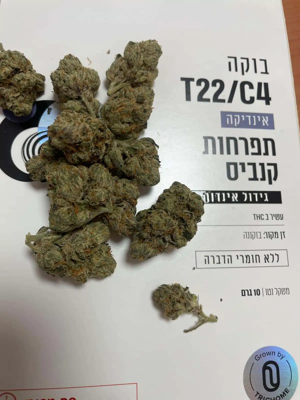 ⁦בוקה (Buca) - אינדיקה T22/C4⁩ – תמונה ⁦2⁩