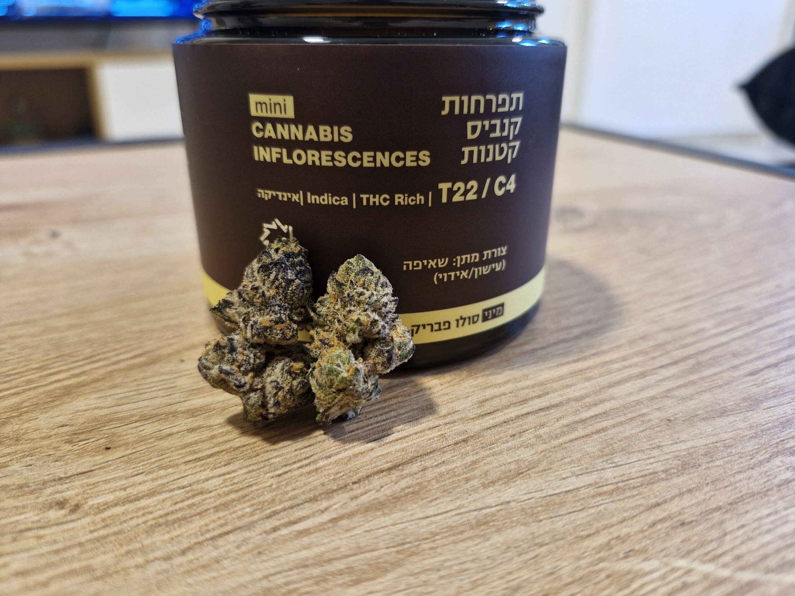 סולו פבריק מיני (solo fabric mini) אינדיקה t22/c4