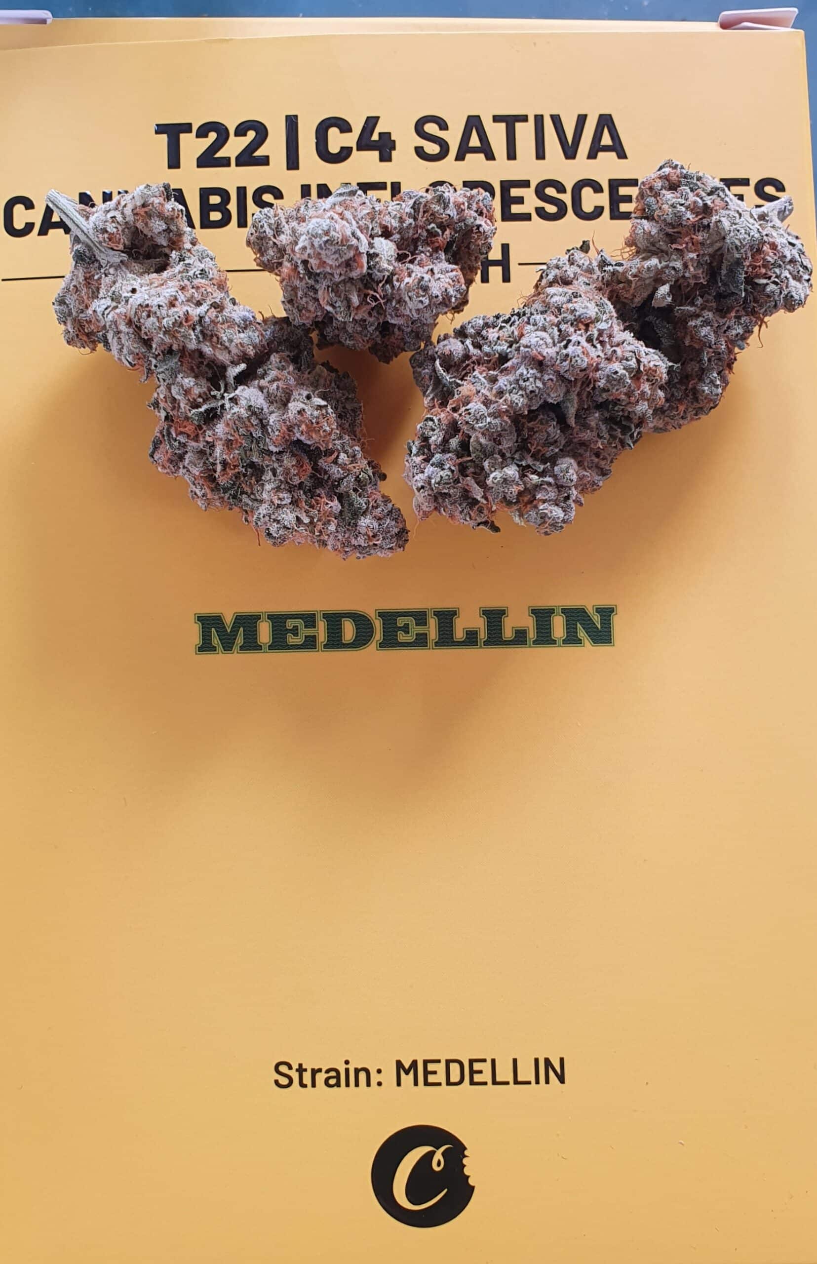 מדיין (Medellin) - סאטיבה T22/C4 – תמונה 6