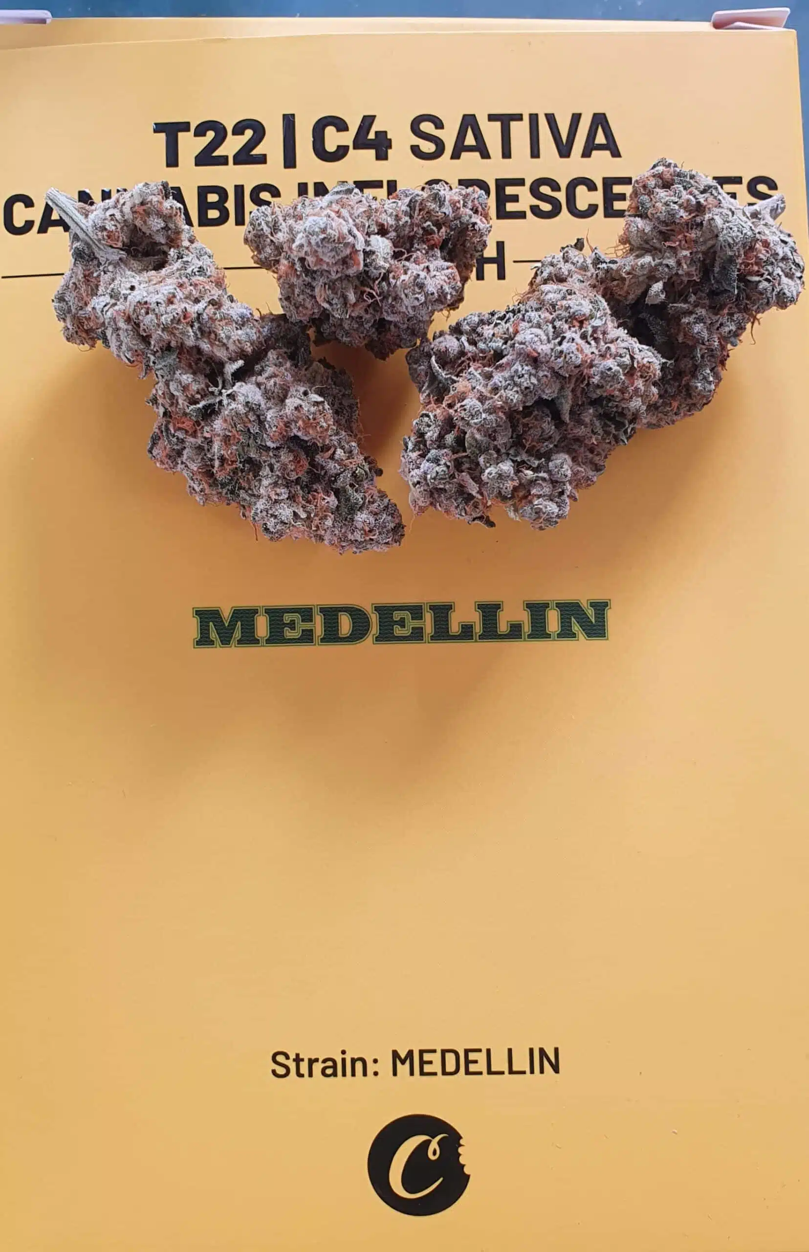 מדיין (Medellin) - סאטיבה T22/C4 – תמונה 6