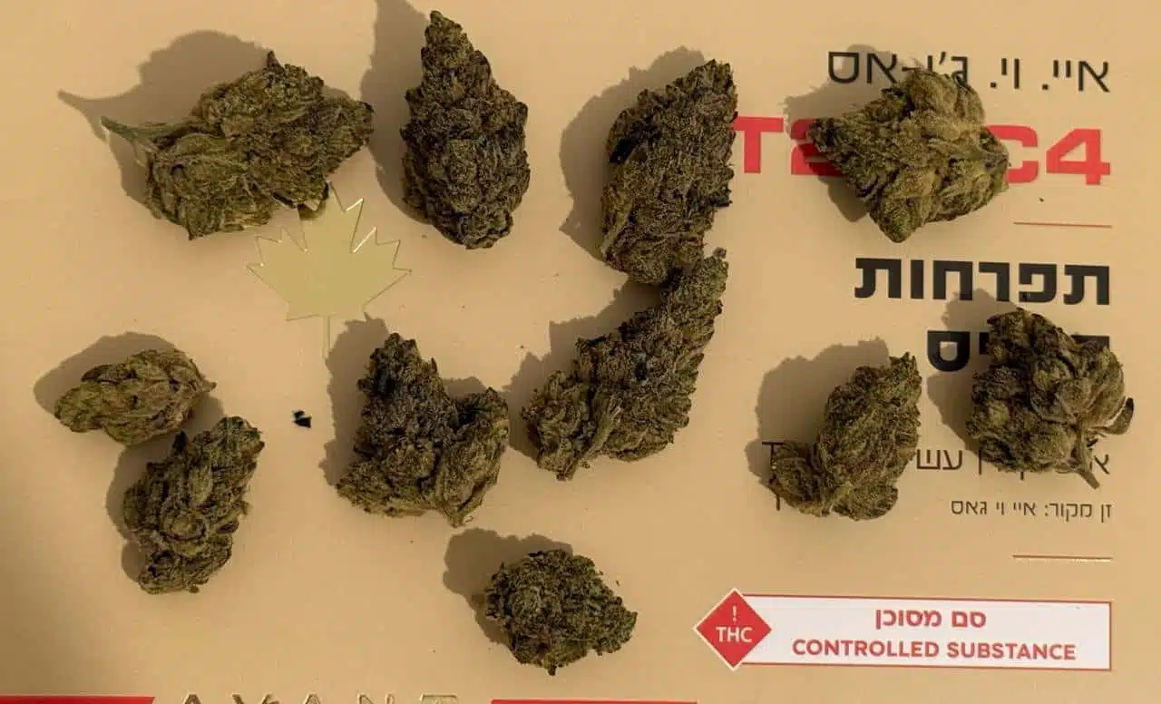 איי.וי.ג'י אס (a.v.g s) אינדיקה t22/c4