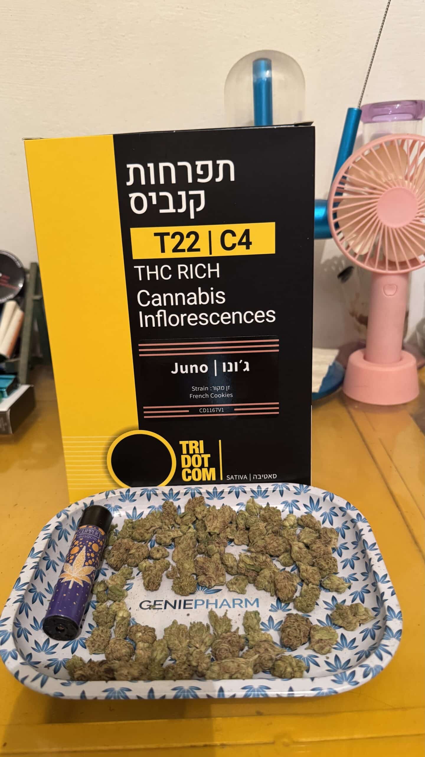 ג'ונו (juno) סאטיבה t22/c4