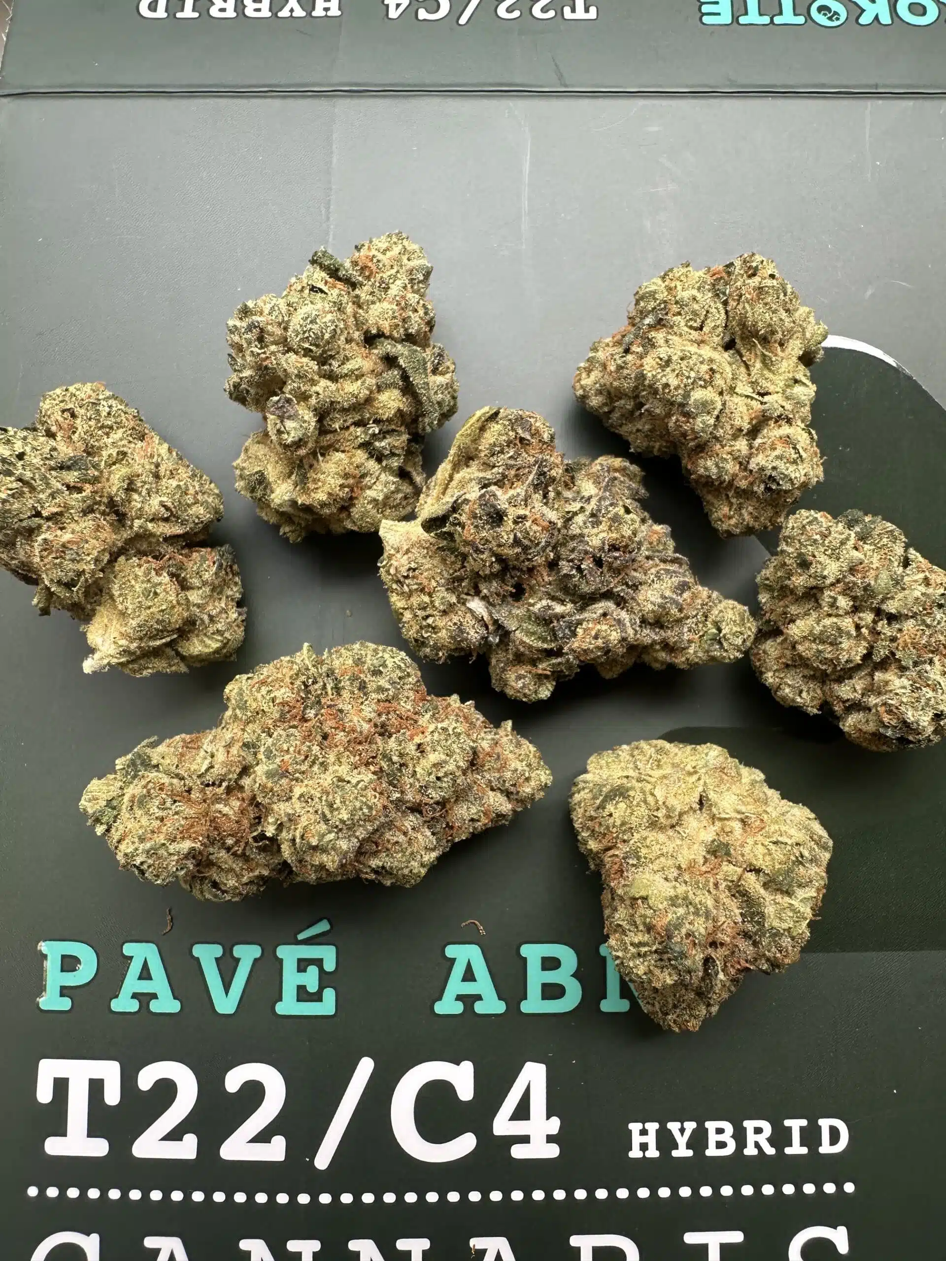 פאבה איי.בי.אן (pavé abn) היבריד t22/c4