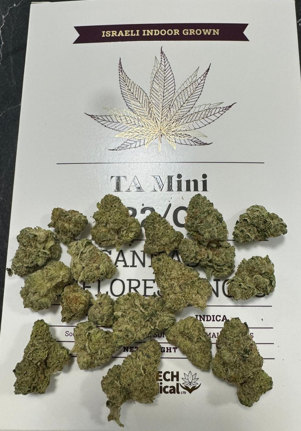 טי איי מיני (ta mini) אינדיקה t22/c4