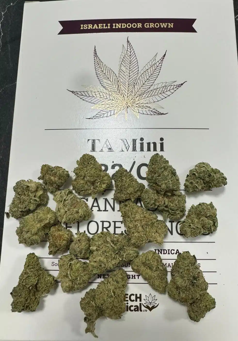 טי איי מיני (ta mini) אינדיקה t22/c4