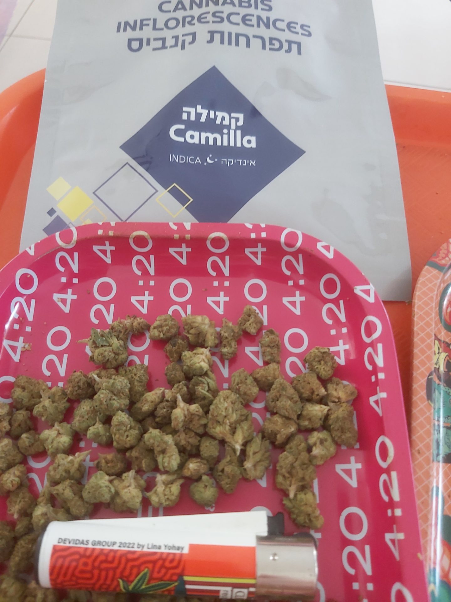 קמילה (camilla) אינדיקה t22/c4