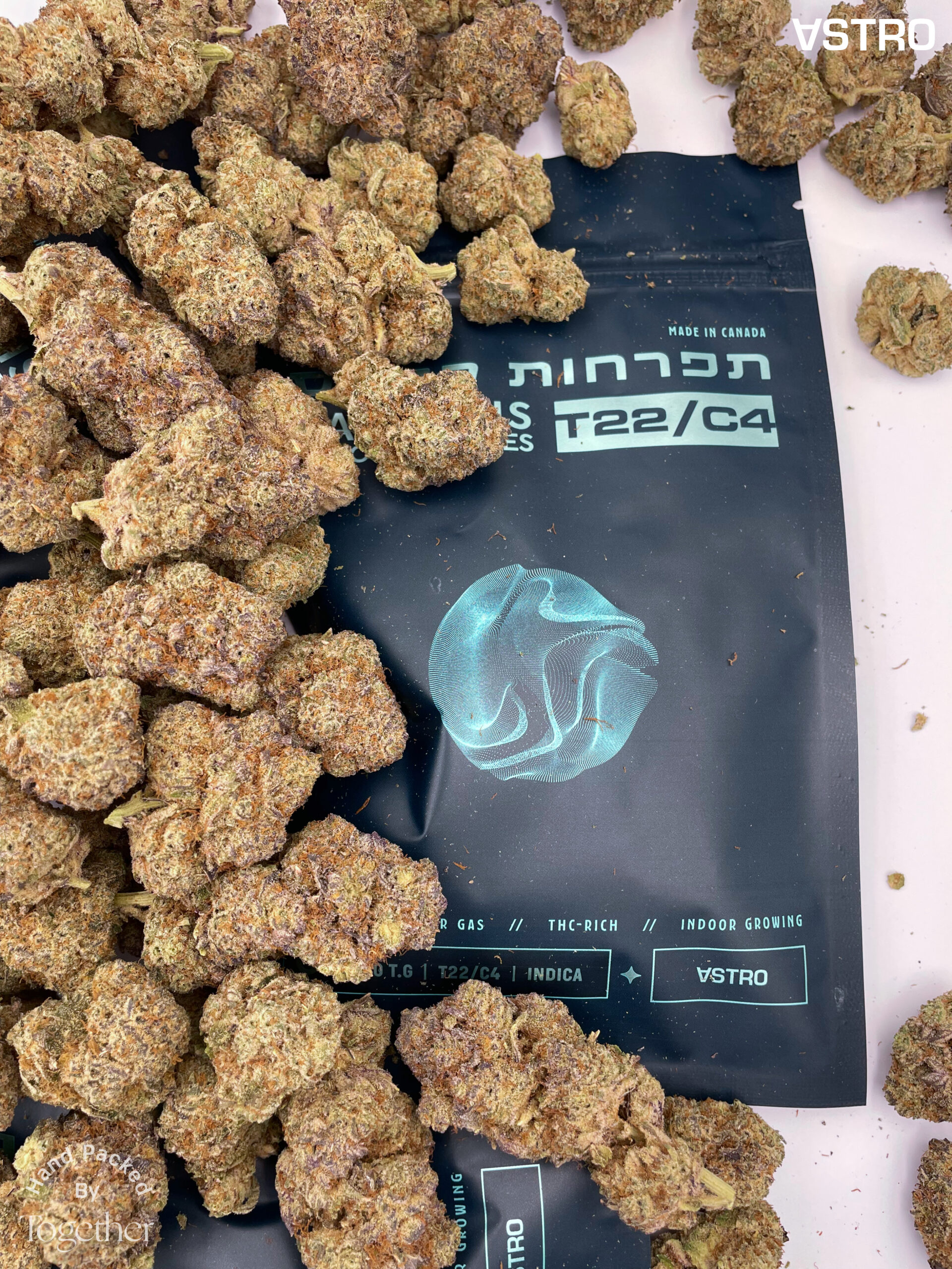 אסטרו טי.ג'י (astro t.g) אינדיקה t22/c4