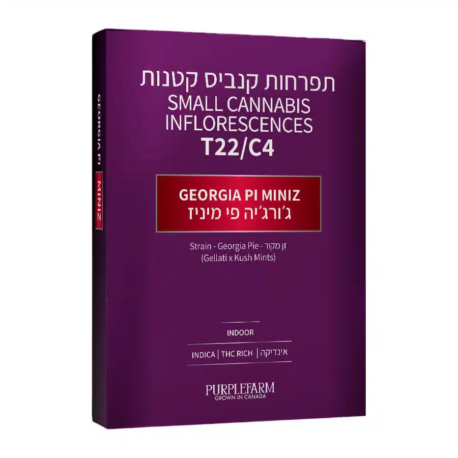 אריזת ג'ורג'יה פי מיניז (Georgia Pi Miniz) - אינדיקה T22/C4