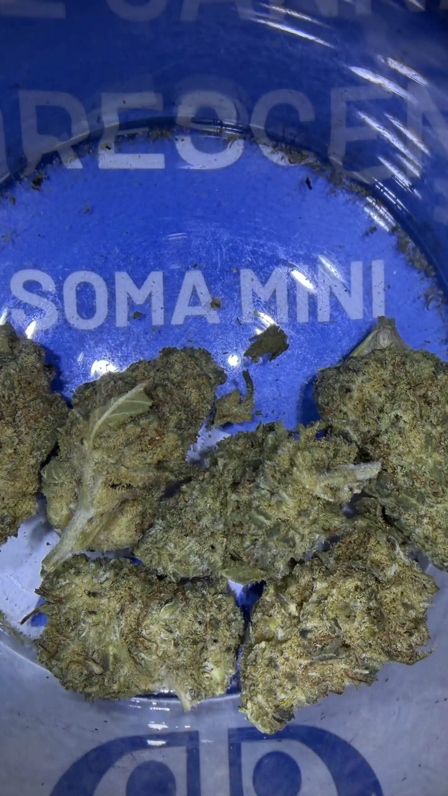 סומה מיני (soma mini) סאטיבה t22/c4